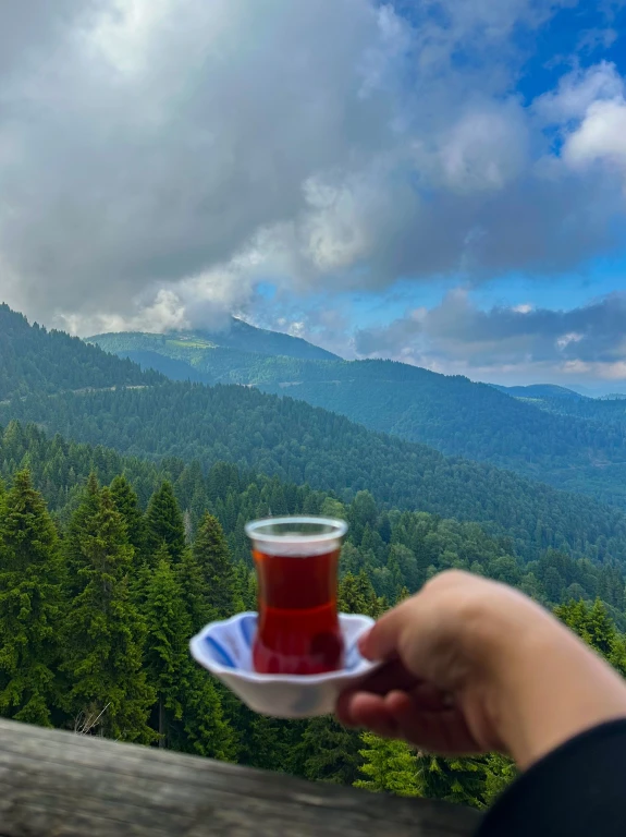 KAZ DAĞLARI TURU
