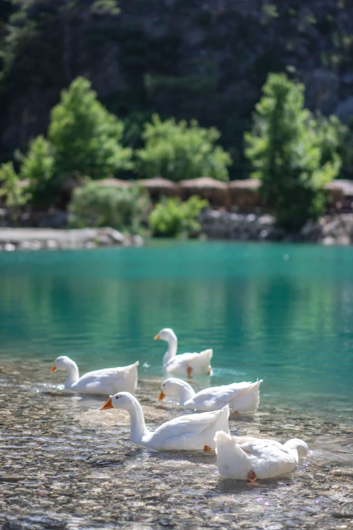 KAZ DAĞLARI TURU
