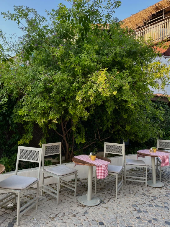 ÇEŞME-ALAÇATI TURU