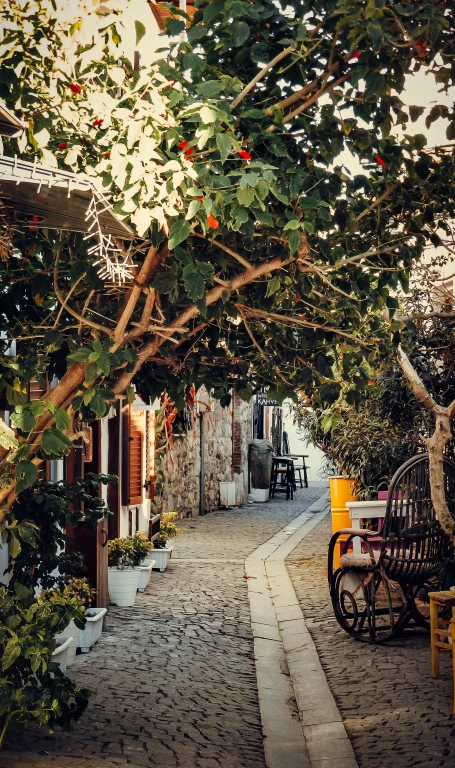 MARMARIS-BOZBURUN-SELİMİYE