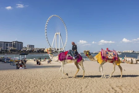 Çöl Çiçeği Dubai Turu