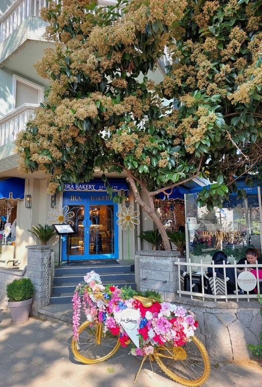 La Rive Asiatique d'Istanbul