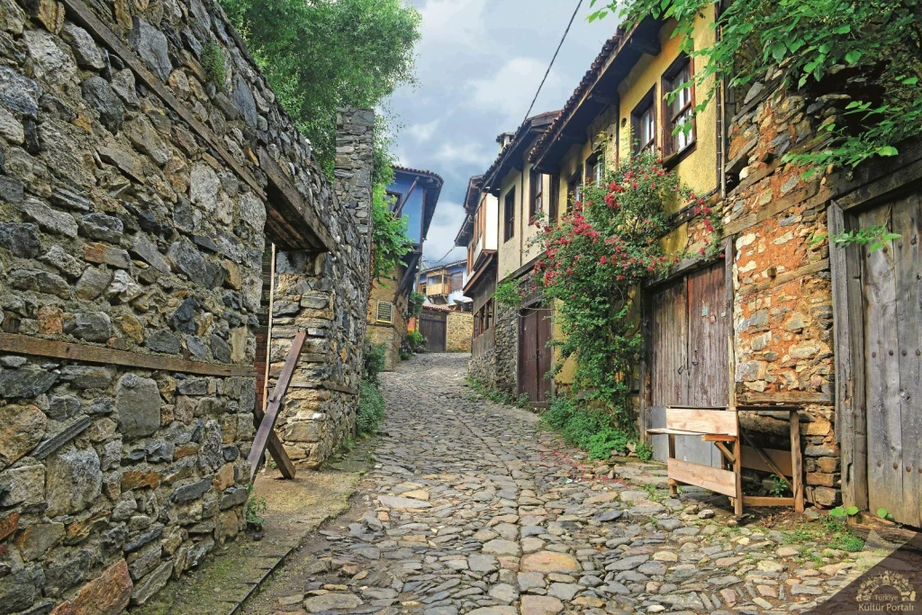 Tour giornaliero del villaggio ottomano di Cumalikizik e di Bursa
