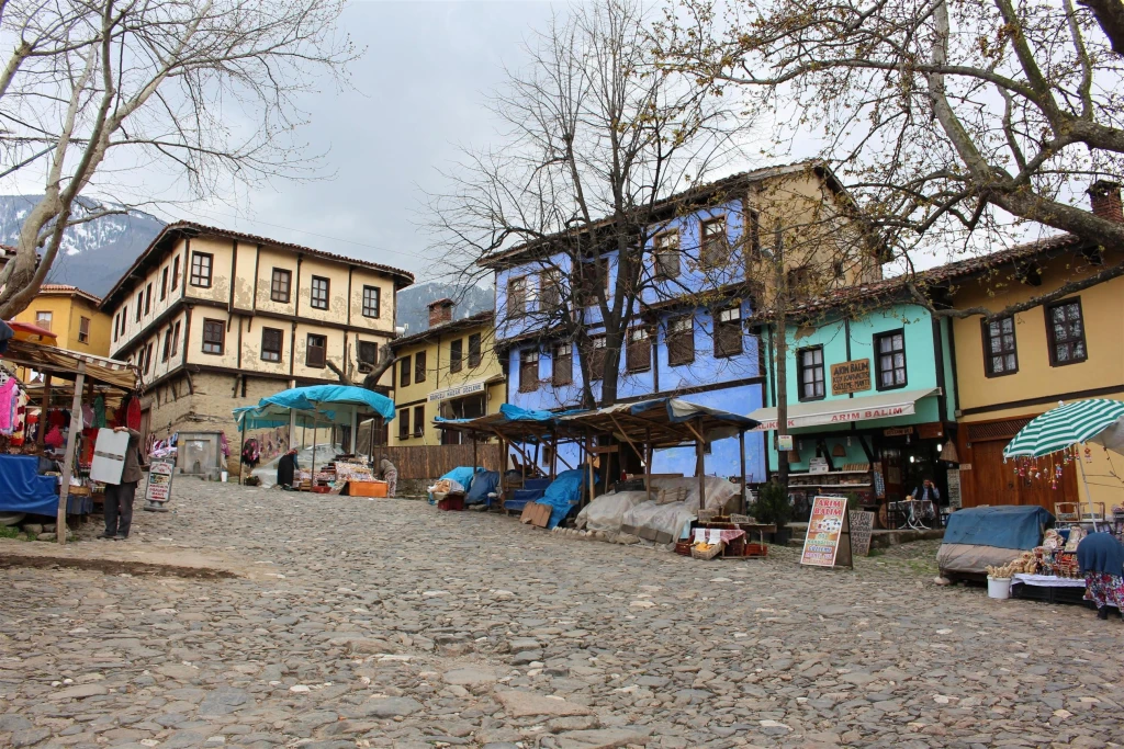 Tour giornaliero del villaggio ottomano di Cumalikizik e di Bursa