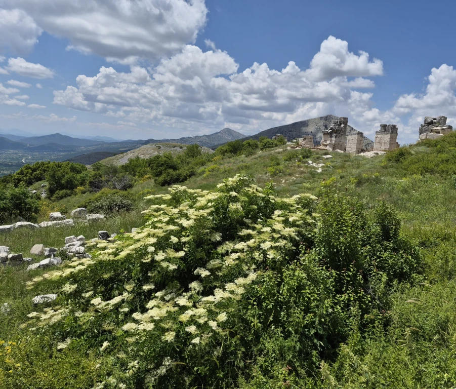 Sagalassos – Sığla Ormanı – Karataş Mağarası Turu