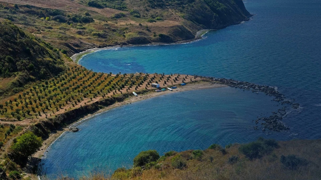Tour de un día a Trilye y Mudanya desde Estambul | Experiencia auténtica de la costa de Mármara
