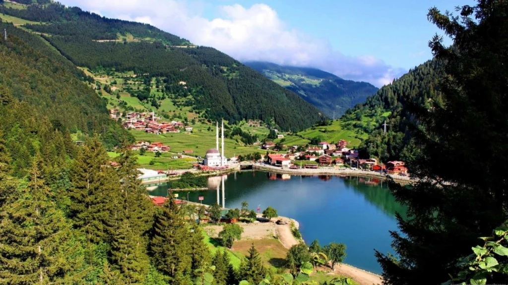 Karadeniz Yaylalar ve Batum Turu / 4 Gece Otel Konaklamalı / İstanbul Çıkışlı
