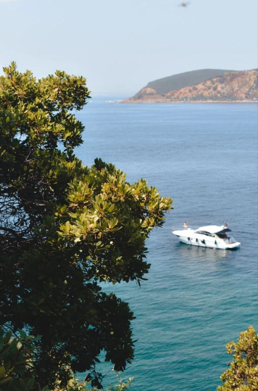 Excursion aux Îles des Princes