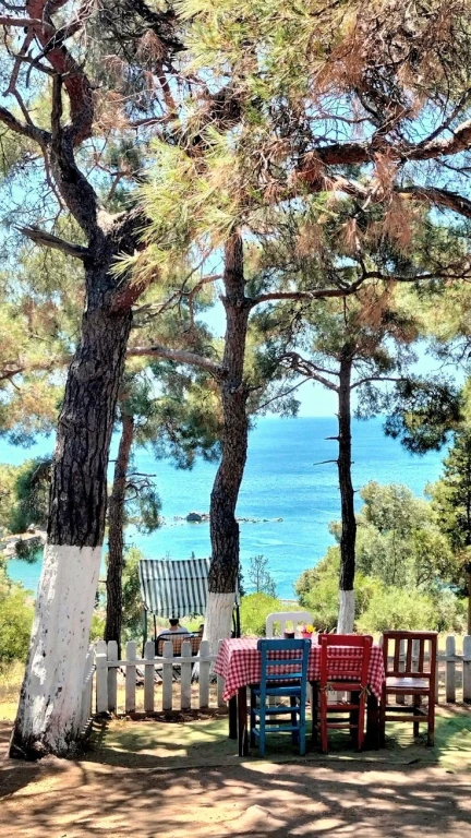 Excursion aux Îles des Princes
