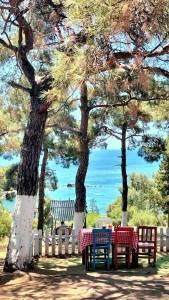 Excursion aux Îles des Princes