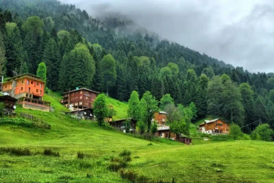 3 Gece Konaklamalı Doğu Karadeniz ve Batum Turu