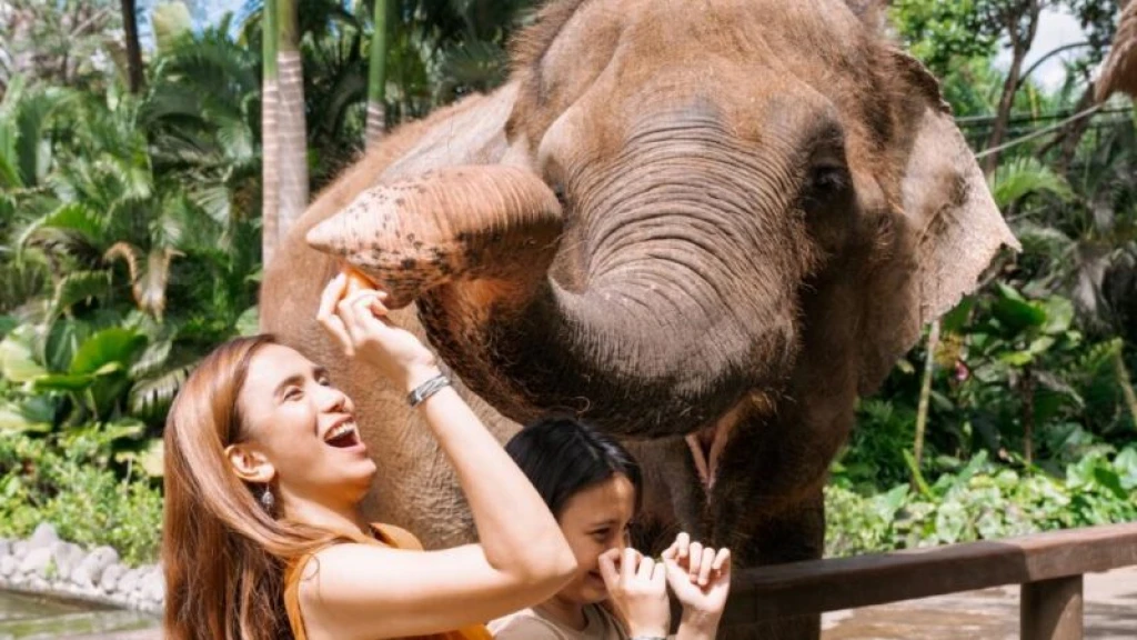 Bali Family Vacation Like a Fairy Tale 7 Nights 8 Days