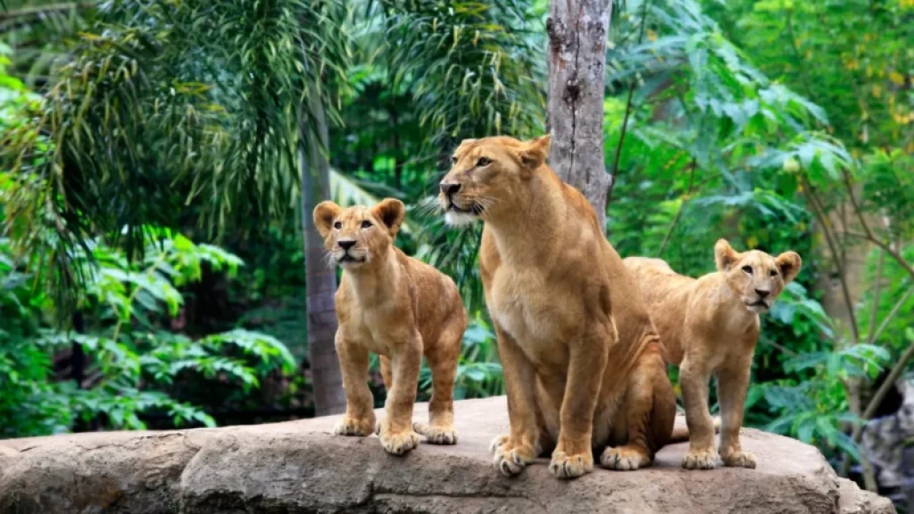 Bali Family Vacation Like a Fairy Tale 7 Nights 8 Days