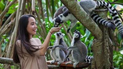 Bali Family Vacation Like a Fairy Tale 7 Nights 8 Days