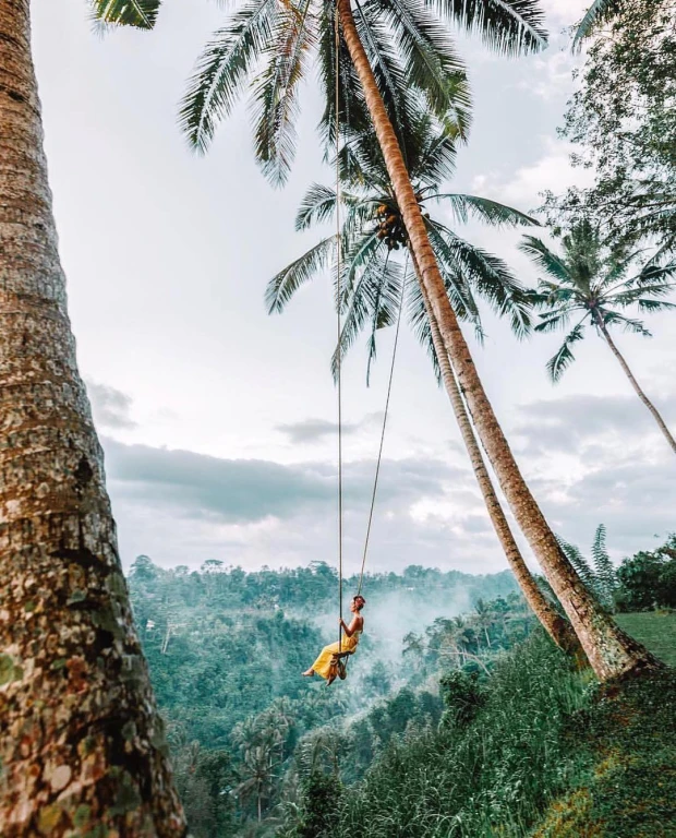 Bali Culture & Nature Tour 5 Nights / 6 Days