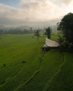 Bali Culture & Nature Tour 5 Nights / 6 Days