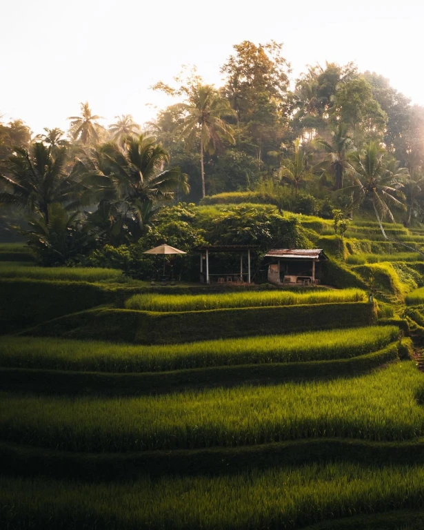 2026 8-night 9-day Private Bali Tours without flights