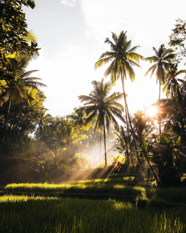 2026 8-night 9-day Private Bali Tours without flights