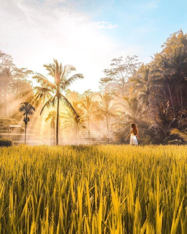 Adventure in the Heart of Bali: Bali Private Group Tour Without Flight, October 2026