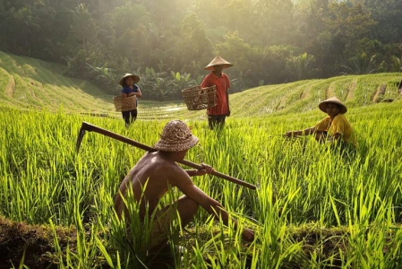 Bali Discovery & Nature Economic Tour | 7 Days 6 Nights - Without Flights