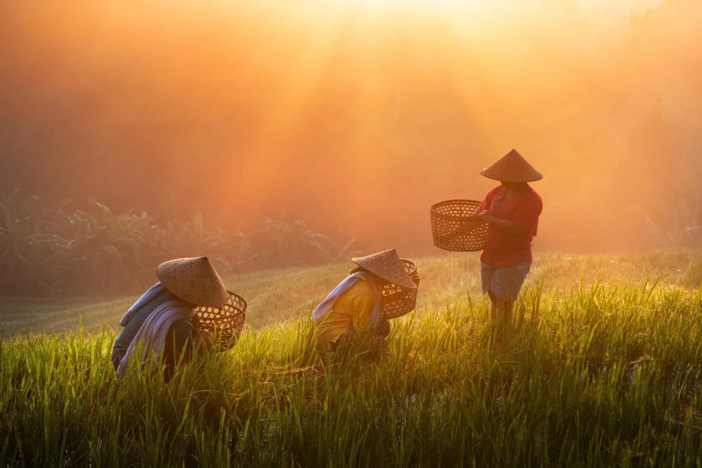 Bali Discovery & Nature Economic Tour | 7 Days 6 Nights - Without Flights