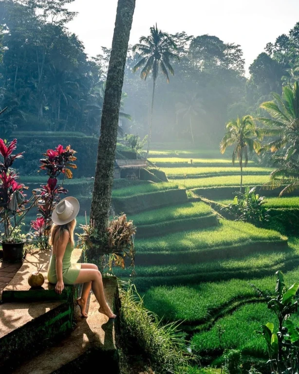 Bali Indonesia Tour 12 Nights 13 Days - Group Indonesia Bali Tour Without Flights