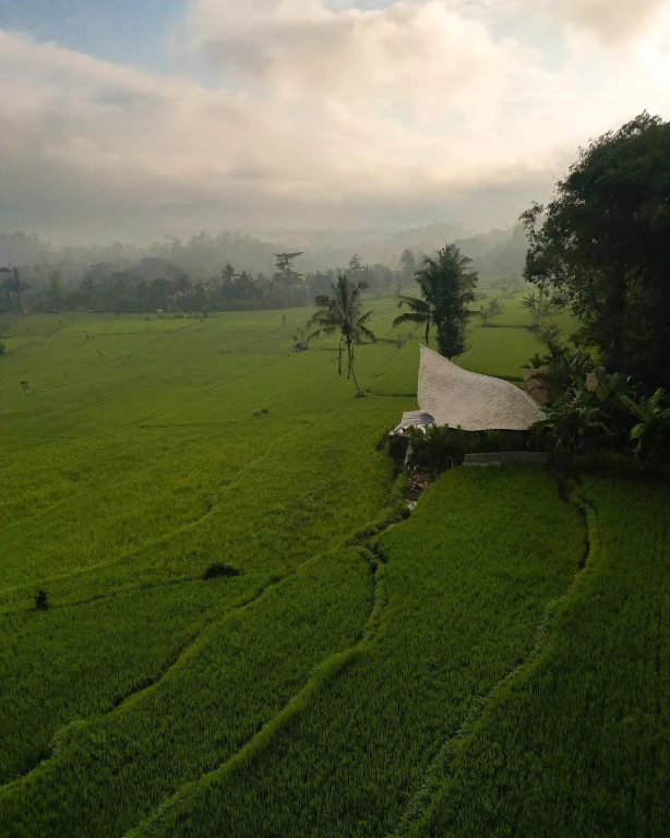 Bali Indonesia Tour 12 Nights 13 Days - Group Indonesia Bali Tour Without Flights