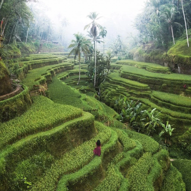 Luxury Honeymoon Vacation Package Bali Tour Without Flights 8 Days 7 Nights
