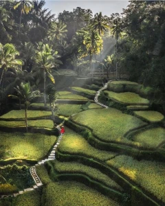 Bali Luxury Tour Package - Bali Tours Including Flight