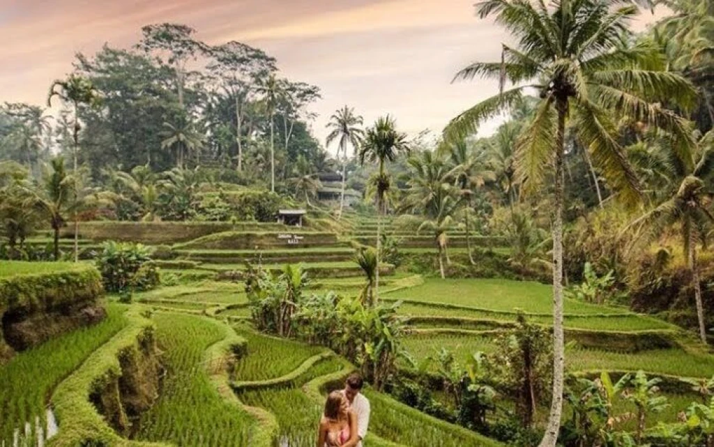 Bali Balayi Tour V.I.P Villa Package Flight Included Bali Tours