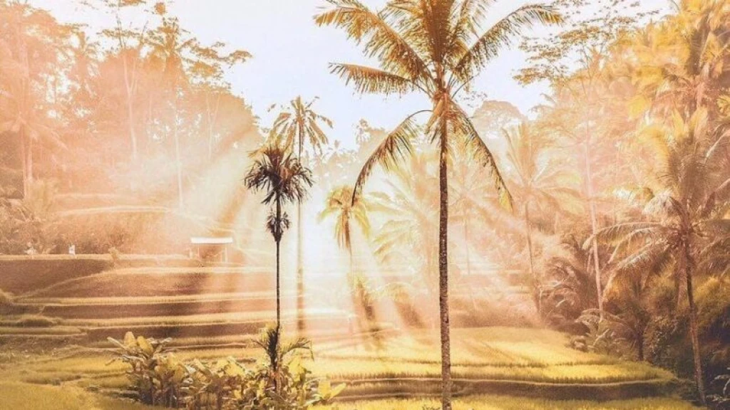 Bali Balayi Tour V.I.P Villa Package Flight Included Bali Tours
