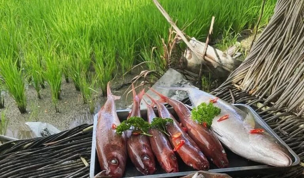 Bali Balayi Tour V.I.P Villa Package Flight Included Bali Tours
