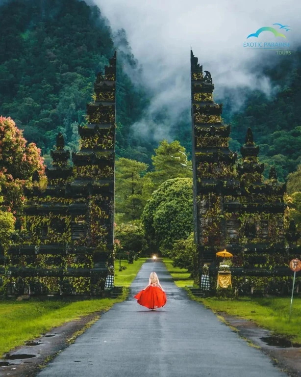 North Bali Full-Day Tour