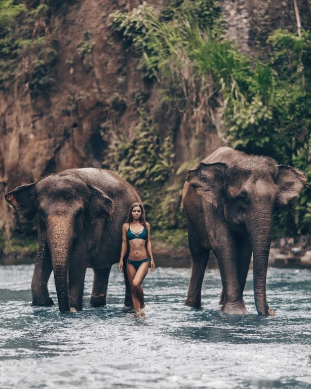 Bali Elephant Safari and Jumbo Wash – Full Day Elephant Tour 1