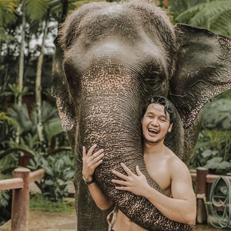 Bali Elephant Safari and Jumbo Wash – Full Day Elephant Tour 1
