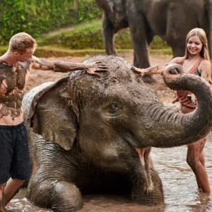 Bali Elephant Safari and Jumbo Wash – Full Day Elephant Tour 1