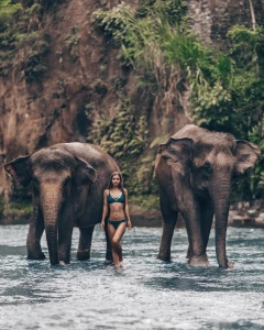 Bali Elephant Safari and Jumbo Wash – Full Day Elephant Tour 1