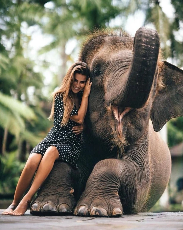 Bali Safari & Marine Park – The Legendary 1 Safari Experience