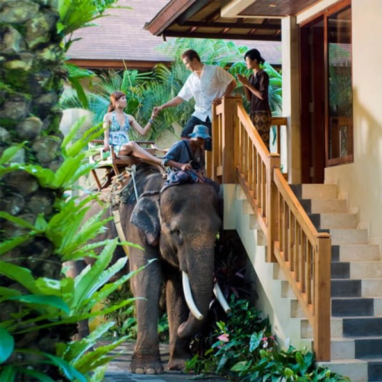 Bali Safari & Marine Park – The Legendary 1 Safari Experience