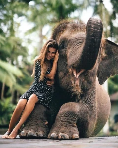 Bali Safari & Marine Park – The Legendary 1 Safari Experience