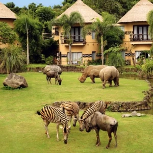Bali Safari & Marine Park – The Legendary 1 Safari Experience