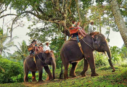 Bali Safari & Marine Park – The Legendary 1 Safari Experience