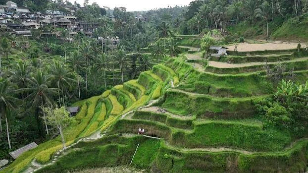 LUXURY VILLA PACKAGE BALI 7 Nights 8 Days
