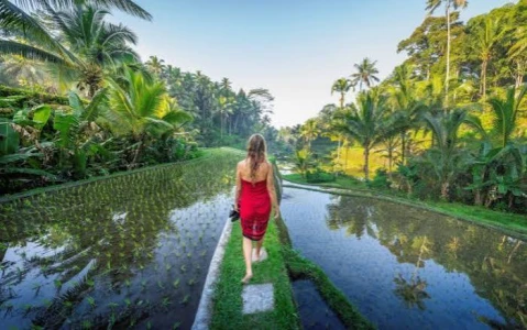 UYGUN PACKAGE HONEY 7 Nights 8 Days