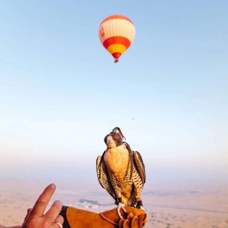 'Dubai Hot Air Balloon Tour – Standard & Magical | Sunrise in the Desert'