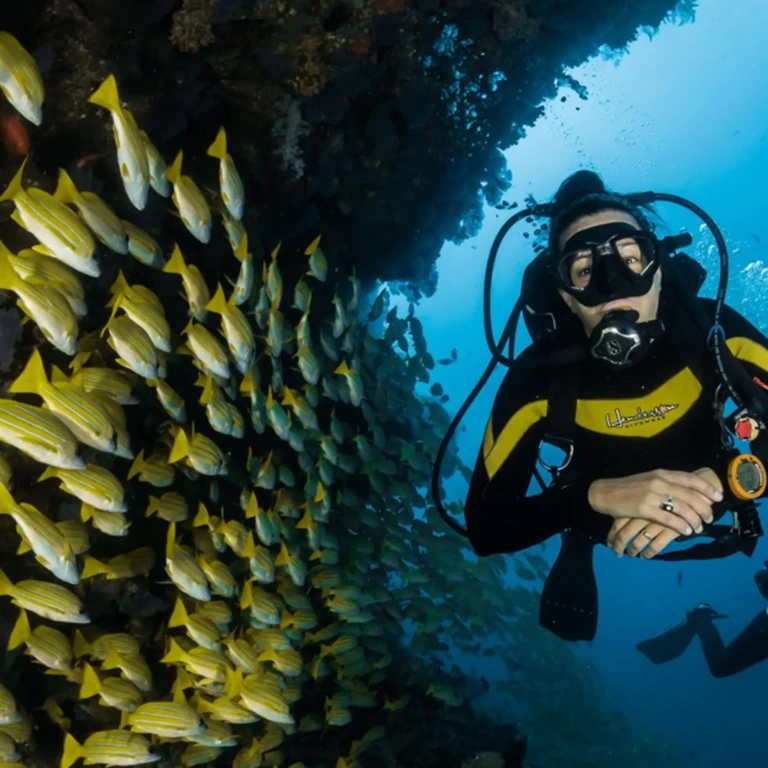 Alanya Scuba Diving Adventure: 2 Dives, Boat Trip & Lunch Included
