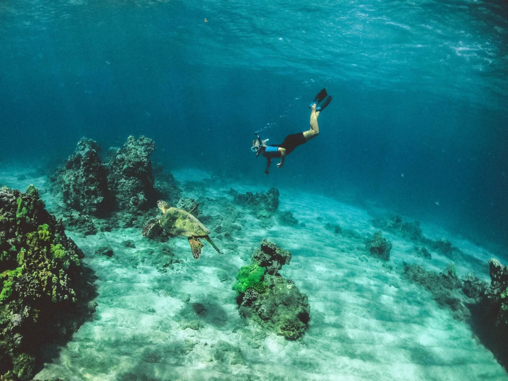 Alanya Scuba Diving Adventure: 2 Dives, Boat Trip & Lunch Included