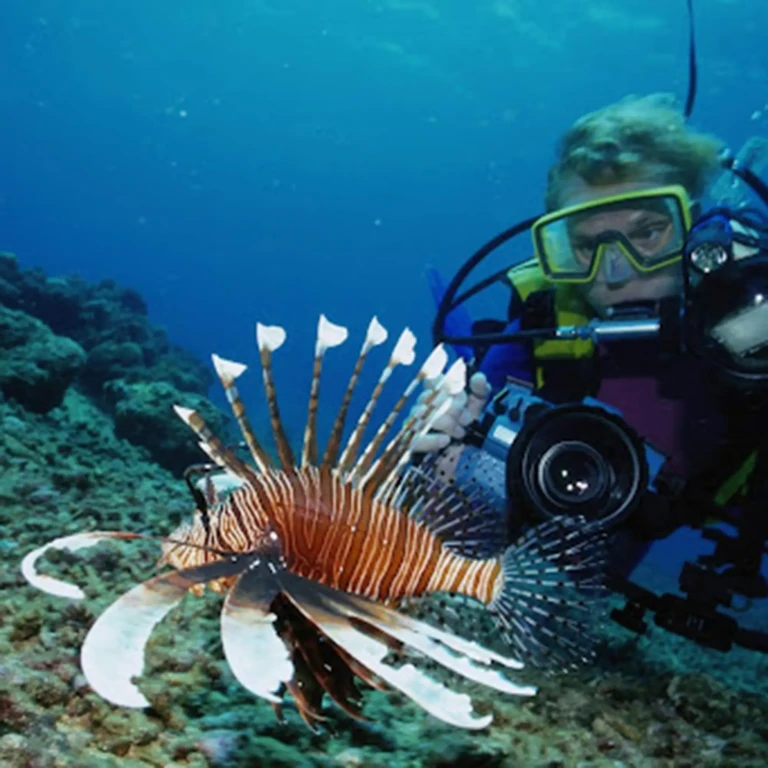 Alanya Scuba Diving Adventure: 2 Dives, Boat Trip & Lunch Included