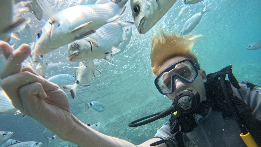 Alanya Scuba Diving Adventure: 2 Dives, Boat Trip & Lunch Included