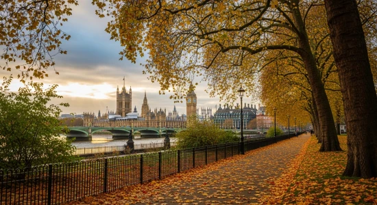 11-15 Kasım 2026 Londra Turu